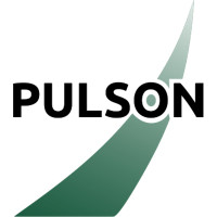 Матрасы PULSON